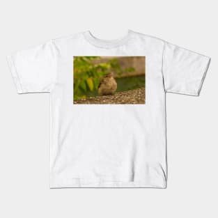 House Sparrow in Ljubljana, Slovenia Kids T-Shirt